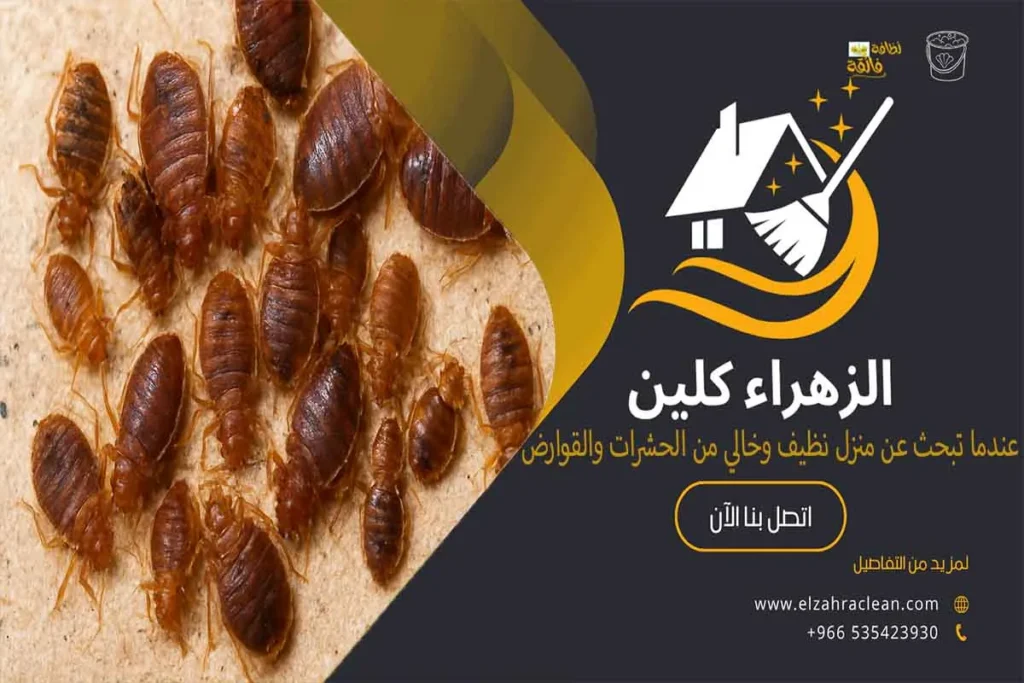 مكافحة بق الفراش مكافحة البق بق الفراش حشرة البق حشرات الفراش بق فراشي بقه الفراش حشرة الفراش قرصة البق أفضل المبيدات للقضاء على بق الفراش أفضل شركة مكافحة بق الفراش بالاحساء شركة مكافحة بق الفراش بالاحساء شركات رش البق بالاحساء أفضل شركة لرش البق أحسن شركة لإبادة البق نصائح وإرشادات للتخلص من بق الفراش نهائيًا طرق مكافحة بق الفراش أهمية مكافحة بق الفراش التخلص من بق الفراش بالاحساء الكلمات الأقل تأثيرًا ولكن مهمة للسيو الداعم: أسعار شركات رش البق بالاحساء كيفية التعرف على وجود بق الفراش في المنزل كيفية التعامل مع بيض البق كيفية مكافحة البق بالطرق الطبيعية التخلص من البق باستخدام البخور أسباب ظهور حشرات بق الفراش وكيفية الوقاية منها ما هو بق الفراش شركة الزهراء كلين