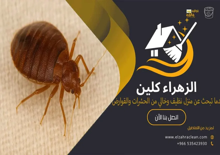 مكافحة بق الفراش بالأحساء