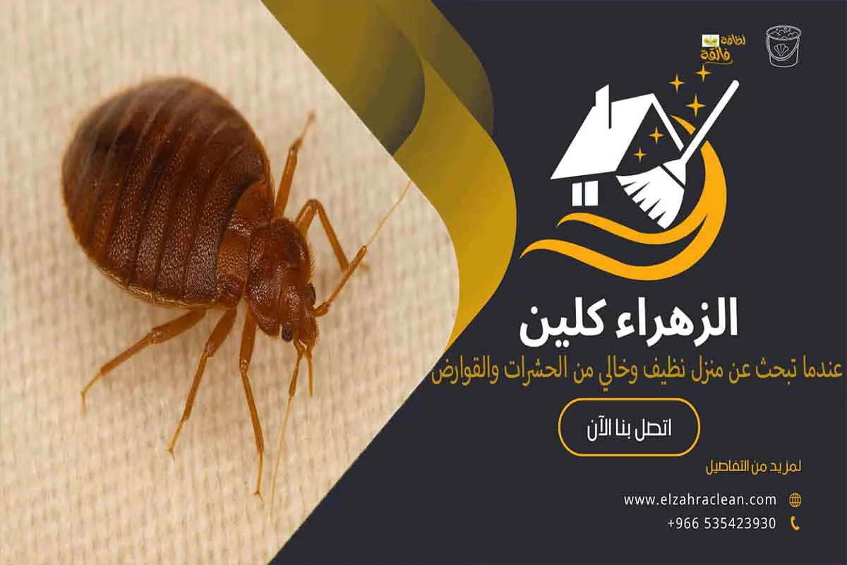 مكافحة بق الفراش بالأحساء
