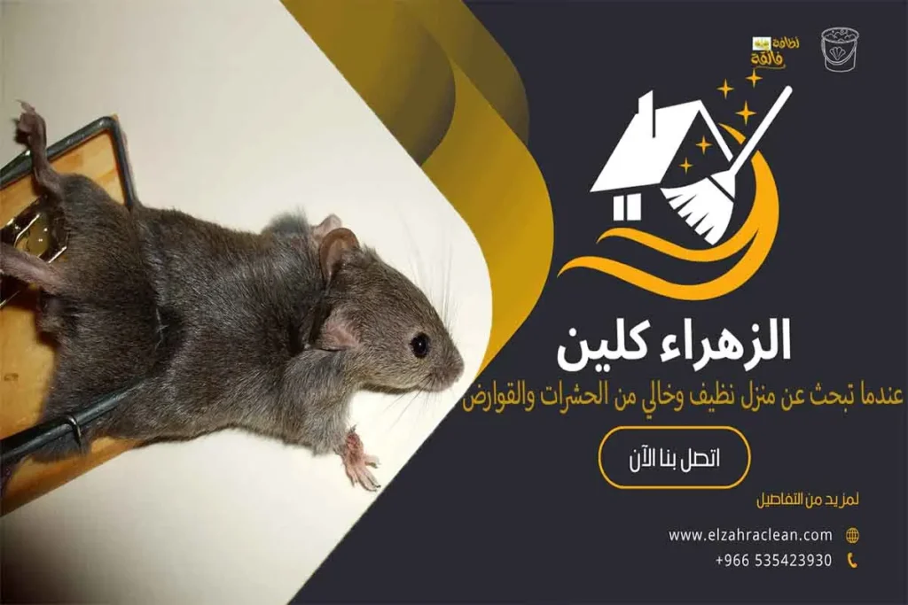 مكافحة القوارض بالأحساء