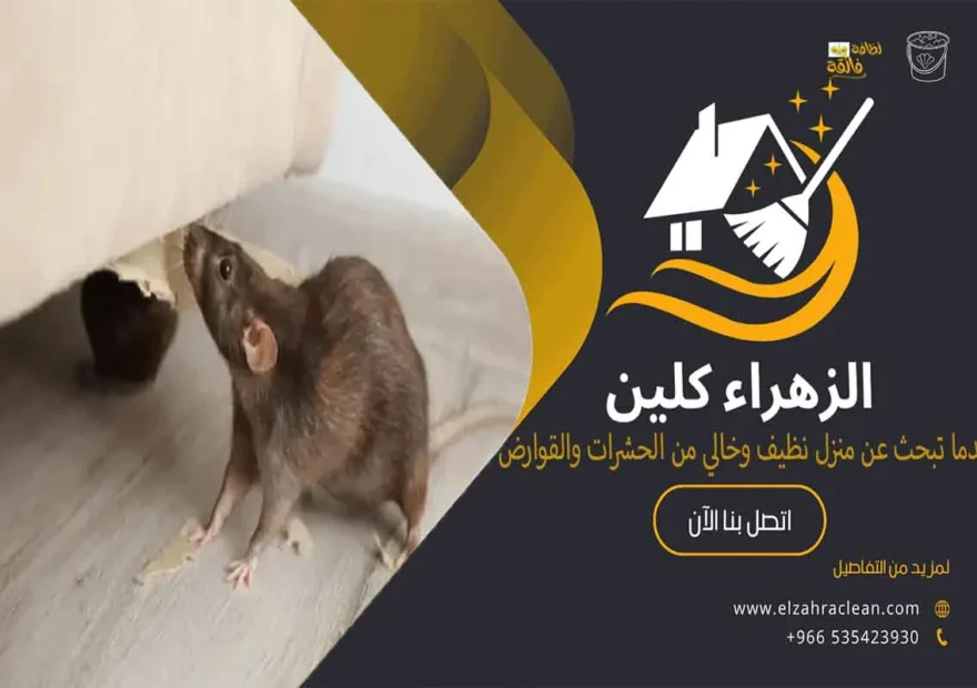 مكافحة القوارض بالأحساء