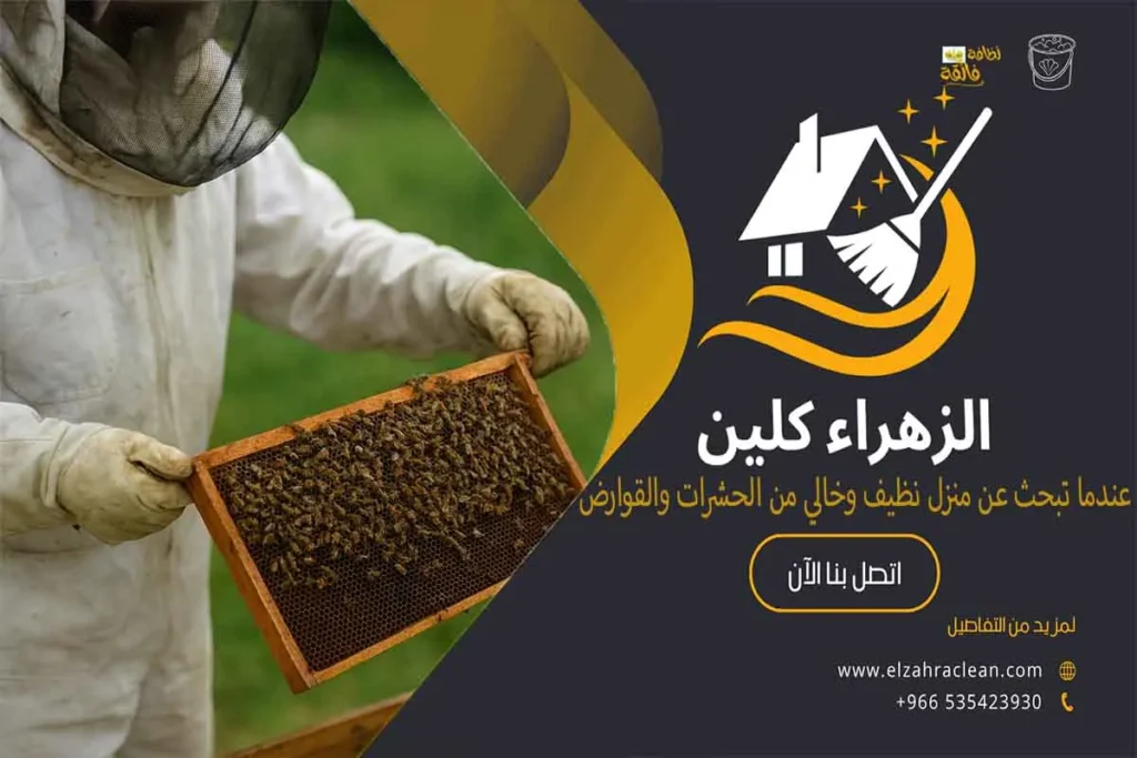 أفضل شركة مكافحة النحل بالاحساء أهمية الاستعانة بشركة مكافحة النحل بالاحساء خدمات شركة مكافحة النحل بالاحساء شركة القضاء على النحل بالاحساء شركة طرد النحل من المنزل بالاحساء عملية مكافحة النحل بواسطة شركة مكافحة النحل بالاحساء طرق التخلص من النحل والدبابير في المنزل فوائد التعاقد مع شركة مكافحة النحل بالاحساء كيفية اختيار شركة مكافحة النحل المناسبة شركة ازالة النحل شركة التخلص من خلية النحل بالاحساء مكافحة الدبابير بالاحساء مكافحة خلية النحل شركة مكافحة النحل بالمنزل بالاحساء اسعار مكافحة النحل بالاحساء شركة إبادة النحل بالاحساء شركة رش النحل بالاحساء مميزات شركة مكافحة النحل إزالة خلية النحل من المنزل أفضل شركة مكافحة النحل بالأحساء شركة مكافحة النحل مكافحة النحل بالأحساء مكافحة النحل شركة إبادة النحل بالأحساء مكافحة الدبابير بالأحساء شركة إزالة النحل شركة رش النحل بالأحساء شركة مكافحة النحل بالأحساء مكافحة الدبابير إبادة النحل إزالة النحل رش النحل شركة طرد النحل من المنزل طرد النحل التخلص من النحل في المنزل المخاطر الصحية المرتبطة بالنحل أرخص شركة مكافحة النحل بالاحساء شركات للتخلص من النحل ما سبب تجمع النحل على الشباك ؟ شركة التخلص من النحل في البيت بالاحساء ما هو الشيء الذي يقضي على النحل ؟ ماهي الرائحة التي يكرهها النحل ؟ مكافحة النحل الأفريقي كيفية التخلص من النحل الأصفر وسائل مكافحة النحل ما هي اضرار النحل كيفية التخلص من النحل في المنزل كيفية التخلص من النحل والدبابير في المنزل