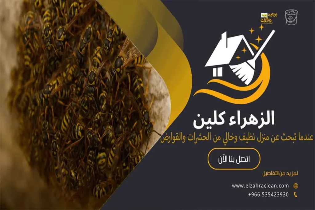 أفضل شركة مكافحة النحل بالاحساء أهمية الاستعانة بشركة مكافحة النحل بالاحساء خدمات شركة مكافحة النحل بالاحساء شركة القضاء على النحل بالاحساء شركة طرد النحل من المنزل بالاحساء عملية مكافحة النحل بواسطة شركة مكافحة النحل بالاحساء طرق التخلص من النحل والدبابير في المنزل فوائد التعاقد مع شركة مكافحة النحل بالاحساء كيفية اختيار شركة مكافحة النحل المناسبة شركة ازالة النحل شركة التخلص من خلية النحل بالاحساء مكافحة الدبابير بالاحساء مكافحة خلية النحل شركة مكافحة النحل بالمنزل بالاحساء اسعار مكافحة النحل بالاحساء شركة إبادة النحل بالاحساء شركة رش النحل بالاحساء مميزات شركة مكافحة النحل إزالة خلية النحل من المنزل أفضل شركة مكافحة النحل بالأحساء شركة مكافحة النحل مكافحة النحل بالأحساء مكافحة النحل شركة إبادة النحل بالأحساء مكافحة الدبابير بالأحساء شركة إزالة النحل شركة رش النحل بالأحساء شركة مكافحة النحل بالأحساء مكافحة الدبابير إبادة النحل إزالة النحل رش النحل شركة طرد النحل من المنزل طرد النحل التخلص من النحل في المنزل المخاطر الصحية المرتبطة بالنحل أرخص شركة مكافحة النحل بالاحساء شركات للتخلص من النحل ما سبب تجمع النحل على الشباك ؟ شركة التخلص من النحل في البيت بالاحساء ما هو الشيء الذي يقضي على النحل ؟ ماهي الرائحة التي يكرهها النحل ؟ مكافحة النحل الأفريقي كيفية التخلص من النحل الأصفر وسائل مكافحة النحل ما هي اضرار النحل كيفية التخلص من النحل في المنزل كيفية التخلص من النحل والدبابير في المنزل