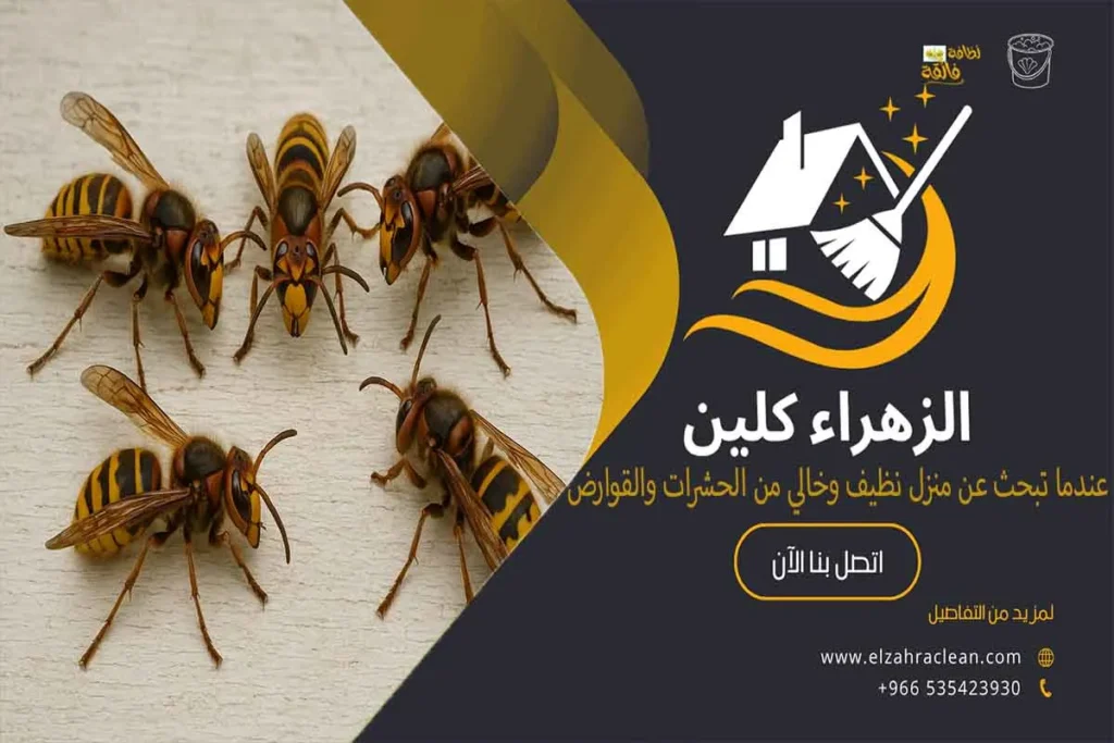 أفضل شركة مكافحة النحل بالاحساء أهمية الاستعانة بشركة مكافحة النحل بالاحساء خدمات شركة مكافحة النحل بالاحساء شركة القضاء على النحل بالاحساء شركة طرد النحل من المنزل بالاحساء عملية مكافحة النحل بواسطة شركة مكافحة النحل بالاحساء طرق التخلص من النحل والدبابير في المنزل فوائد التعاقد مع شركة مكافحة النحل بالاحساء كيفية اختيار شركة مكافحة النحل المناسبة شركة ازالة النحل شركة التخلص من خلية النحل بالاحساء مكافحة الدبابير بالاحساء مكافحة خلية النحل شركة مكافحة النحل بالمنزل بالاحساء اسعار مكافحة النحل بالاحساء شركة إبادة النحل بالاحساء شركة رش النحل بالاحساء مميزات شركة مكافحة النحل إزالة خلية النحل من المنزل أفضل شركة مكافحة النحل بالأحساء شركة مكافحة النحل مكافحة النحل بالأحساء مكافحة النحل شركة إبادة النحل بالأحساء مكافحة الدبابير بالأحساء شركة إزالة النحل شركة رش النحل بالأحساء شركة مكافحة النحل بالأحساء مكافحة الدبابير إبادة النحل إزالة النحل رش النحل شركة طرد النحل من المنزل طرد النحل التخلص من النحل في المنزل المخاطر الصحية المرتبطة بالنحل أرخص شركة مكافحة النحل بالاحساء شركات للتخلص من النحل ما سبب تجمع النحل على الشباك ؟ شركة التخلص من النحل في البيت بالاحساء ما هو الشيء الذي يقضي على النحل ؟ ماهي الرائحة التي يكرهها النحل ؟ مكافحة النحل الأفريقي كيفية التخلص من النحل الأصفر وسائل مكافحة النحل ما هي اضرار النحل كيفية التخلص من النحل في المنزل كيفية التخلص من النحل والدبابير في المنزل