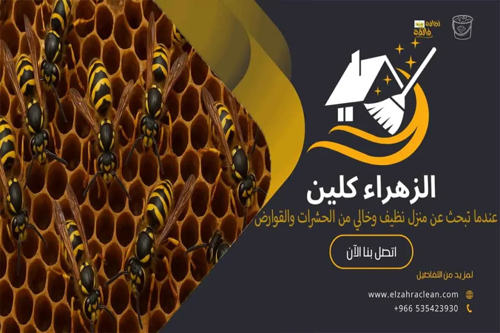 أفضل شركة مكافحة النحل بالاحساء أهمية الاستعانة بشركة مكافحة النحل بالاحساء خدمات شركة مكافحة النحل بالاحساء شركة القضاء على النحل بالاحساء شركة طرد النحل من المنزل بالاحساء عملية مكافحة النحل بواسطة شركة مكافحة النحل بالاحساء طرق التخلص من النحل والدبابير في المنزل فوائد التعاقد مع شركة مكافحة النحل بالاحساء كيفية اختيار شركة مكافحة النحل المناسبة شركة ازالة النحل شركة التخلص من خلية النحل بالاحساء مكافحة الدبابير بالاحساء مكافحة خلية النحل شركة مكافحة النحل بالمنزل بالاحساء اسعار مكافحة النحل بالاحساء شركة إبادة النحل بالاحساء شركة رش النحل بالاحساء مميزات شركة مكافحة النحل إزالة خلية النحل من المنزل أفضل شركة مكافحة النحل بالأحساء شركة مكافحة النحل مكافحة النحل بالأحساء مكافحة النحل شركة إبادة النحل بالأحساء مكافحة الدبابير بالأحساء شركة إزالة النحل شركة رش النحل بالأحساء شركة مكافحة النحل بالأحساء مكافحة الدبابير إبادة النحل إزالة النحل رش النحل شركة طرد النحل من المنزل طرد النحل التخلص من النحل في المنزل المخاطر الصحية المرتبطة بالنحل أرخص شركة مكافحة النحل بالاحساء شركات للتخلص من النحل ما سبب تجمع النحل على الشباك ؟ شركة التخلص من النحل في البيت بالاحساء ما هو الشيء الذي يقضي على النحل ؟ ماهي الرائحة التي يكرهها النحل ؟ مكافحة النحل الأفريقي كيفية التخلص من النحل الأصفر وسائل مكافحة النحل ما هي اضرار النحل كيفية التخلص من النحل في المنزل كيفية التخلص من النحل والدبابير في المنزل